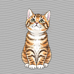 Animal Text Series-AT 3491